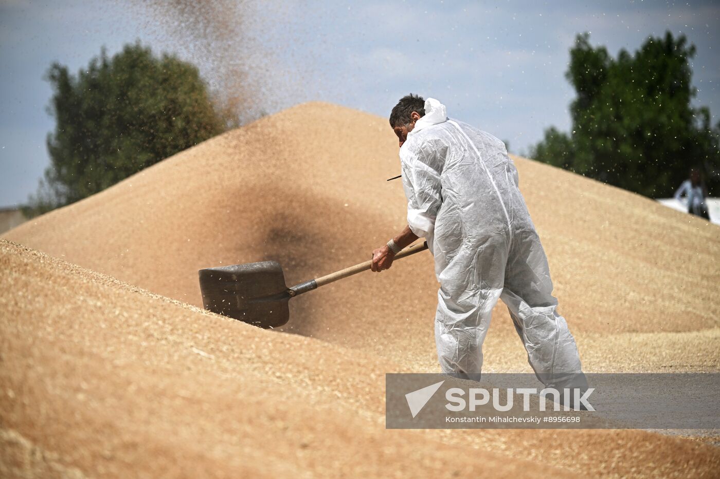 Russia Agriculture Wheat Harvesting