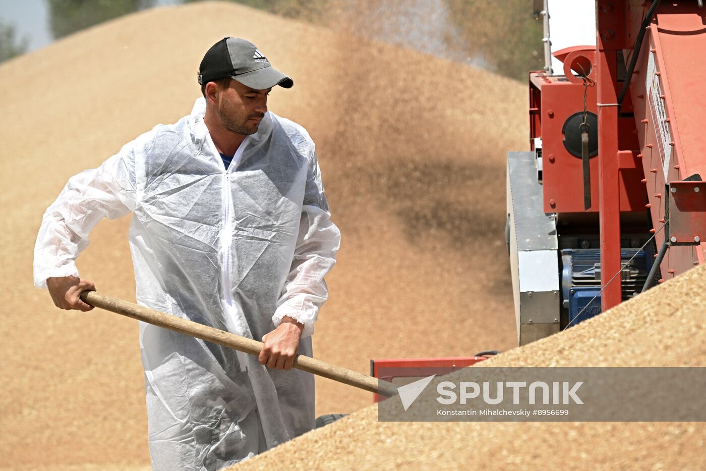 Russia Agriculture Wheat Harvesting