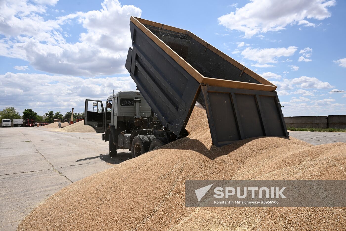 Russia Agriculture Wheat Harvesting