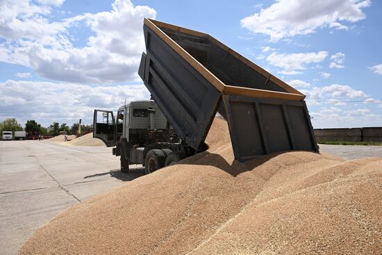 Russia Agriculture Wheat Harvesting