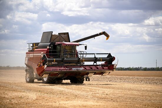 Russia Agriculture Wheat Harvesting