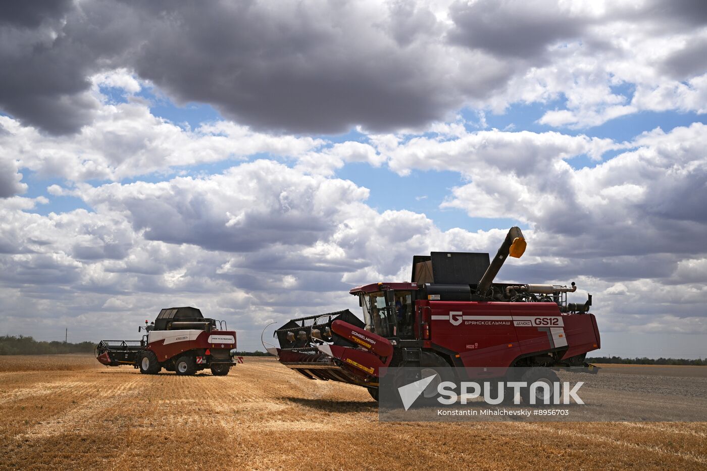 Russia Agriculture Wheat Harvesting