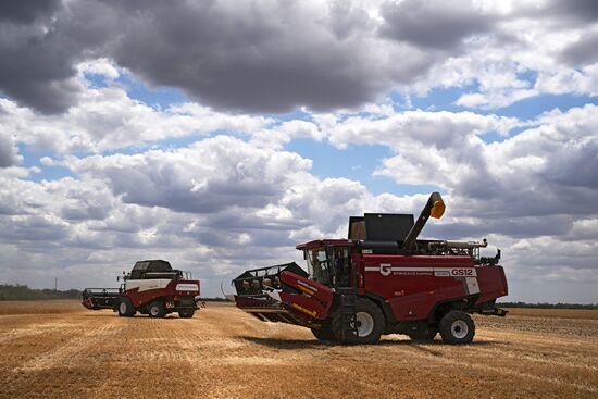 Russia Agriculture Wheat Harvesting