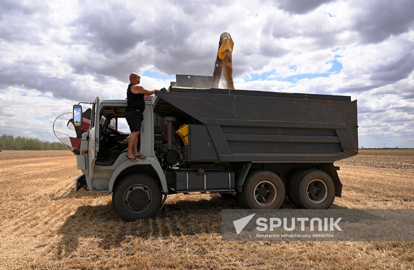 Russia Agriculture Wheat Harvesting