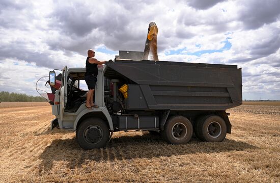 Russia Agriculture Wheat Harvesting