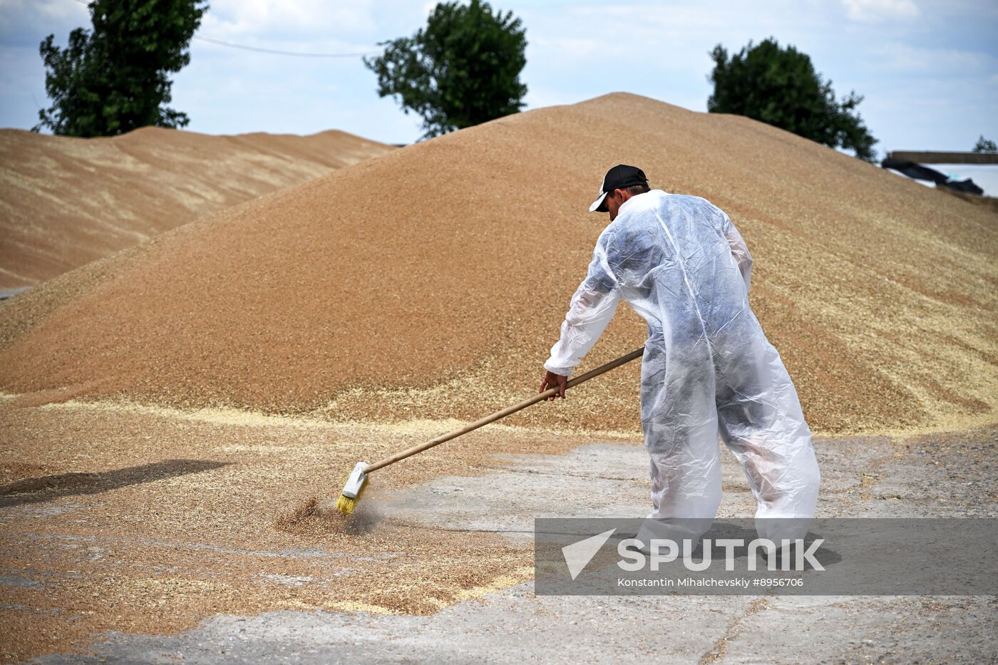 Russia Agriculture Wheat Harvesting
