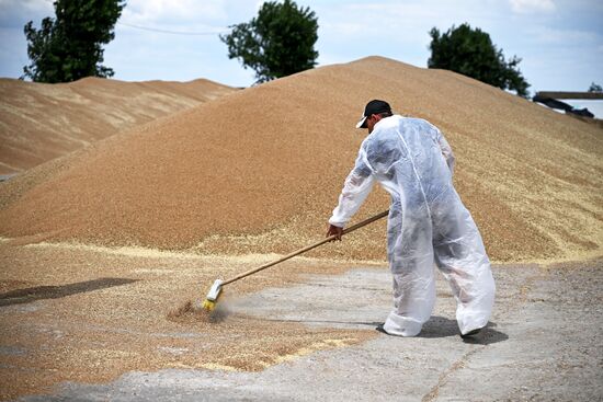 Russia Agriculture Wheat Harvesting