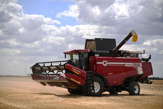 Russia Agriculture Wheat Harvesting