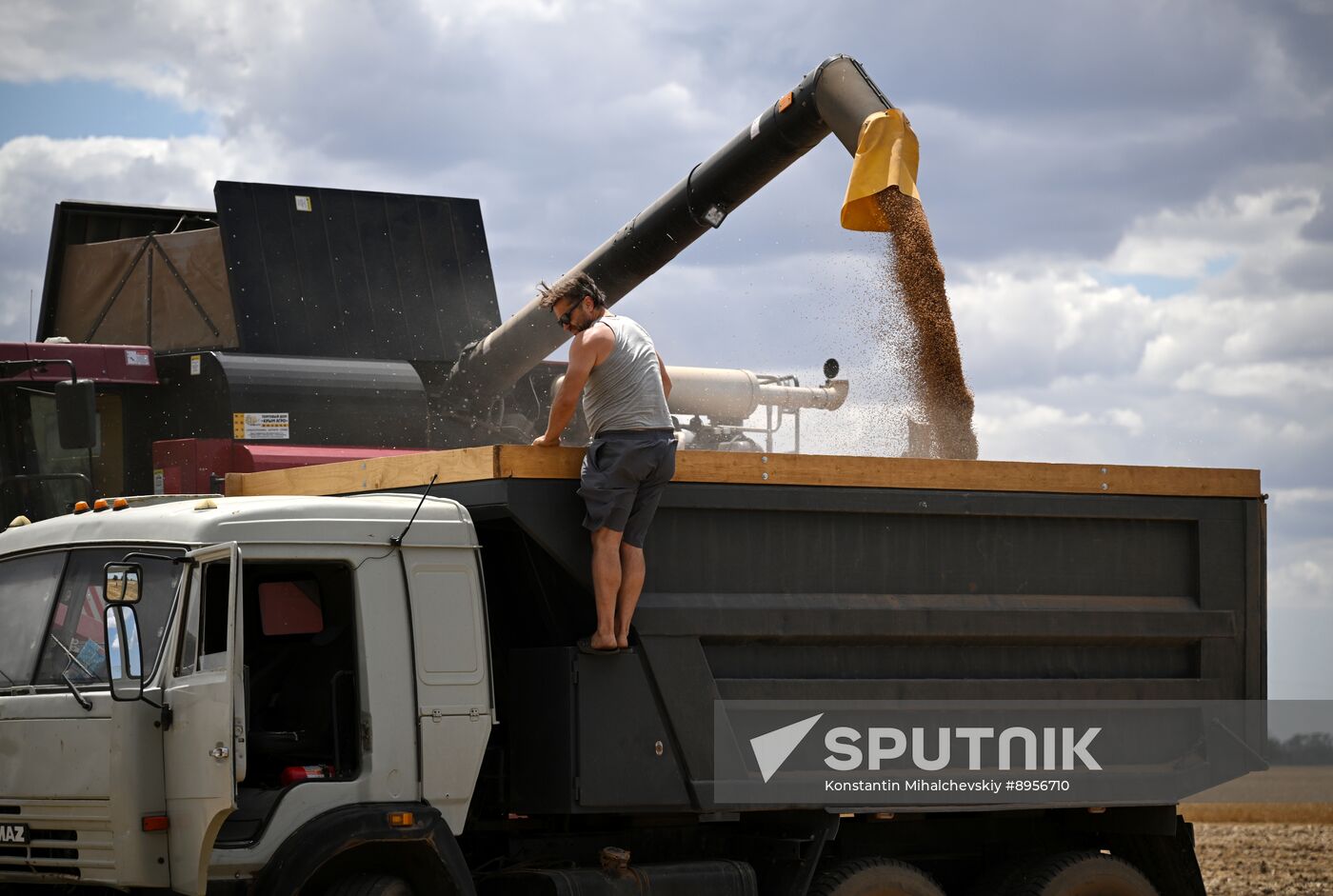 Russia Agriculture Wheat Harvesting