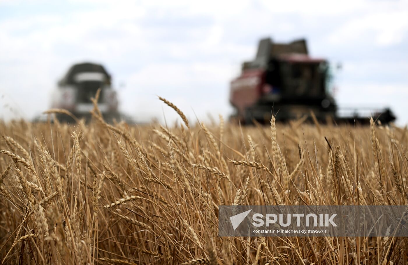 Russia Agriculture Wheat Harvesting