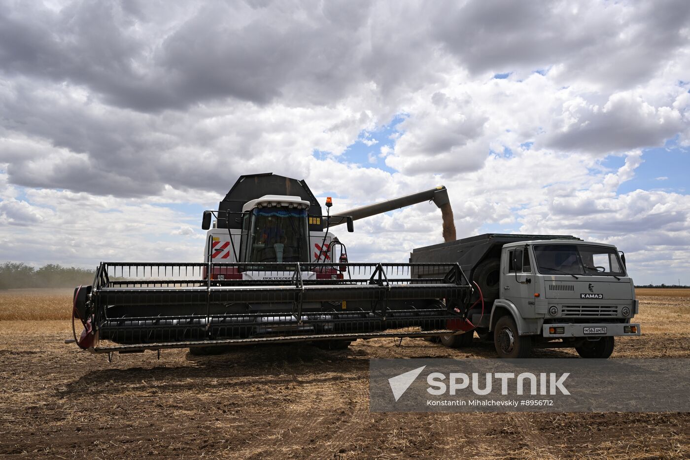 Russia Agriculture Wheat Harvesting