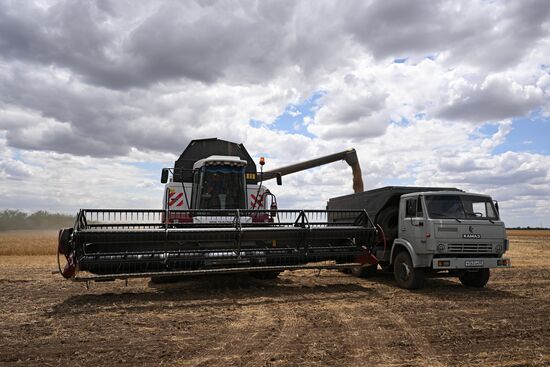 Russia Agriculture Wheat Harvesting