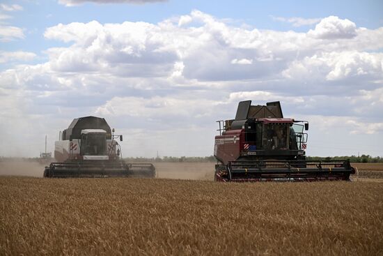 Russia Agriculture Wheat Harvesting
