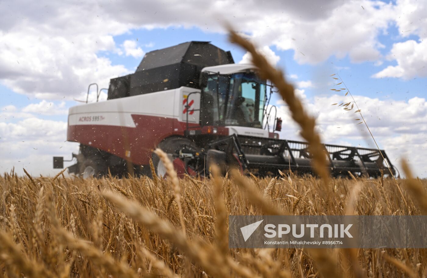 Russia Agriculture Wheat Harvesting