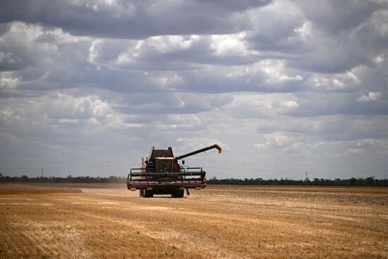 Russia Agriculture Wheat Harvesting