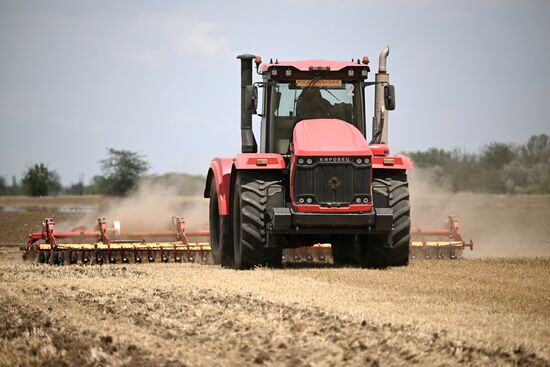Russia Agriculture Wheat Harvesting