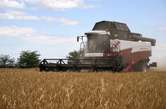 Russia Agriculture Wheat Harvesting