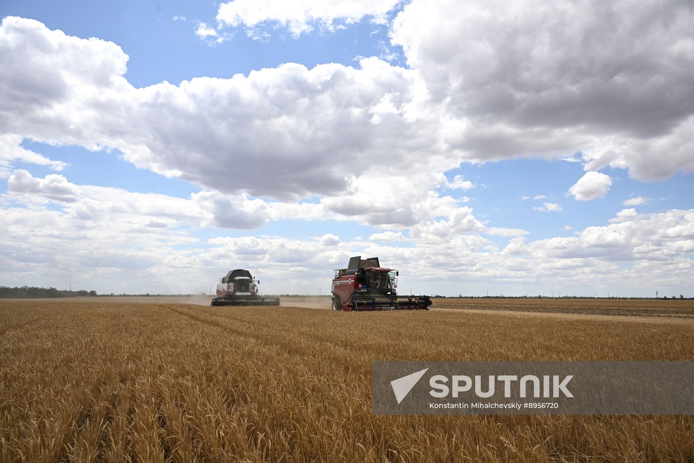 Russia Agriculture Wheat Harvesting