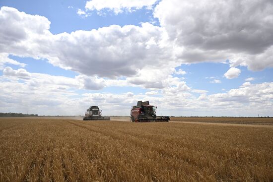 Russia Agriculture Wheat Harvesting
