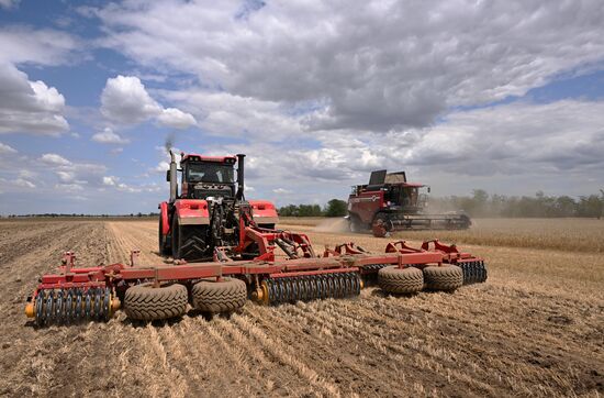 Russia Agriculture Wheat Harvesting