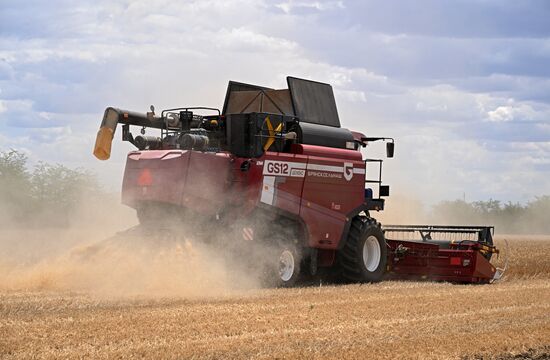 Russia Agriculture Wheat Harvesting