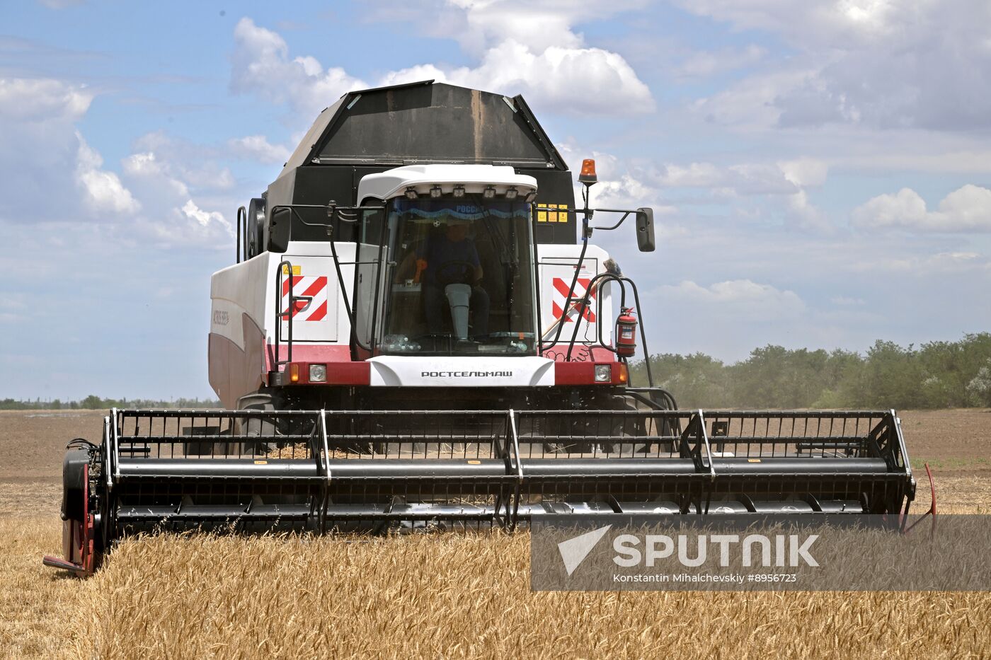 Russia Agriculture Wheat Harvesting