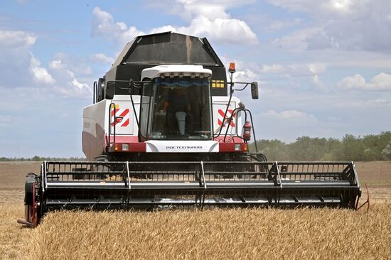 Russia Agriculture Wheat Harvesting