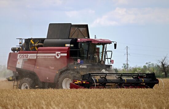 Russia Agriculture Wheat Harvesting