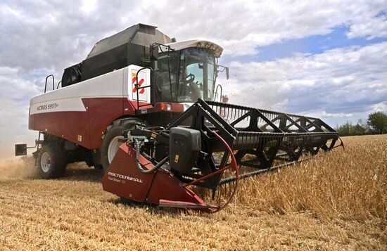 Russia Agriculture Wheat Harvesting