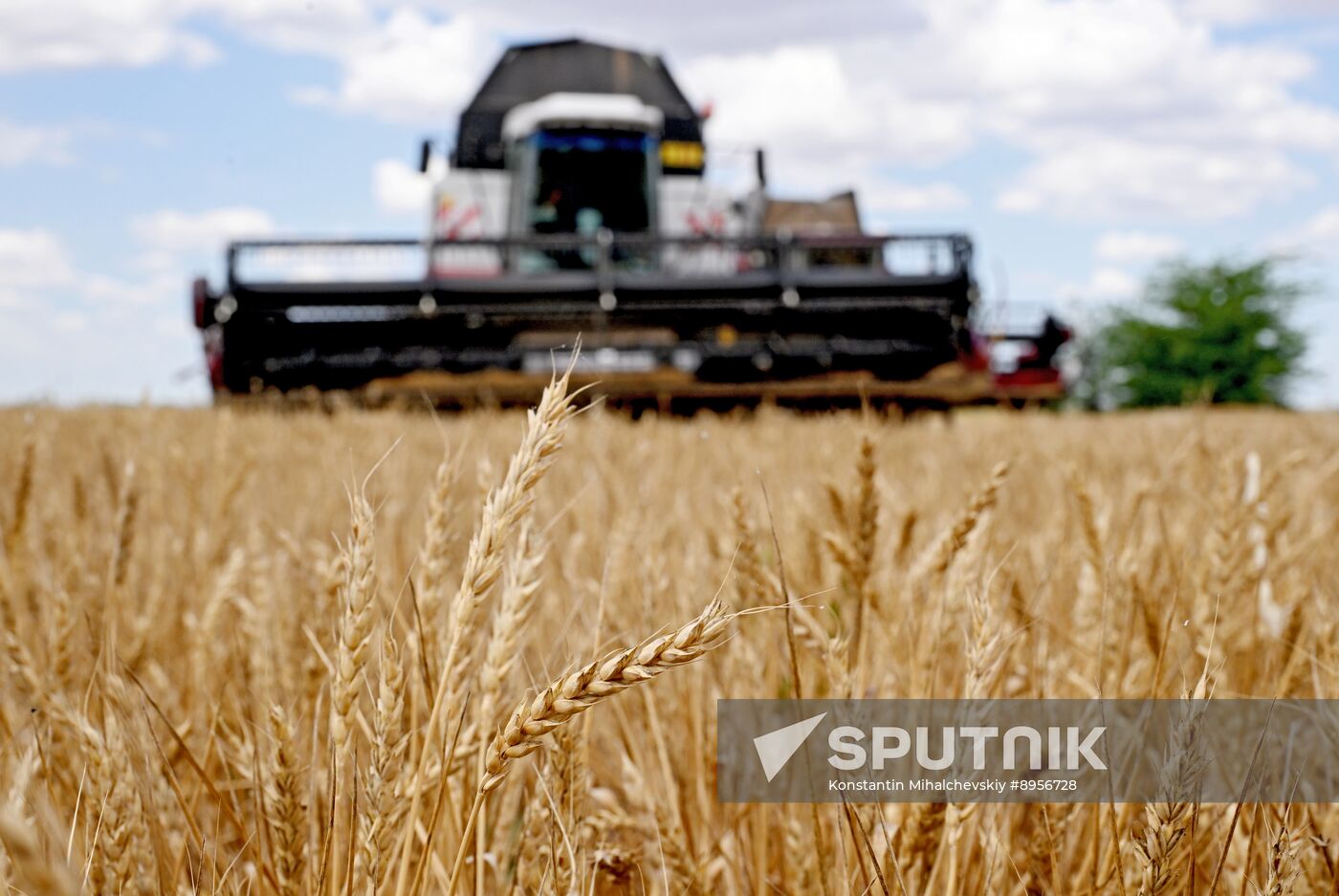 Russia Agriculture Wheat Harvesting
