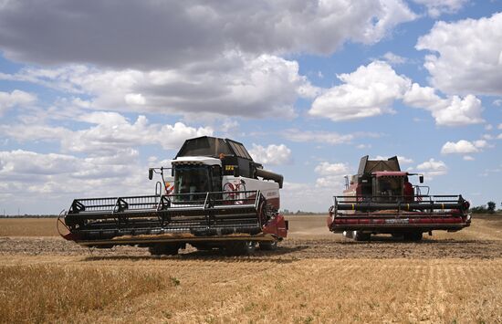 Russia Agriculture Wheat Harvesting
