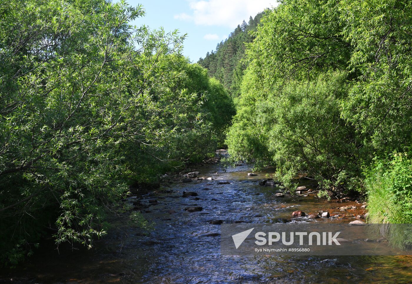 Russia Environment