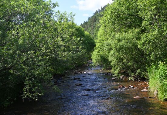 Russia Environment
