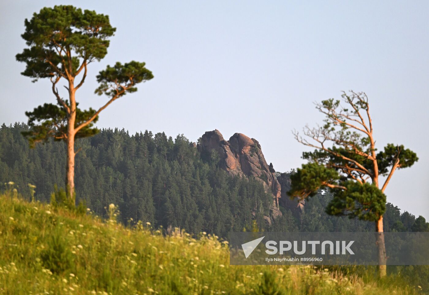 Russia Environment