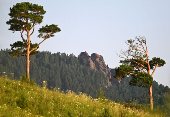 Russia Environment