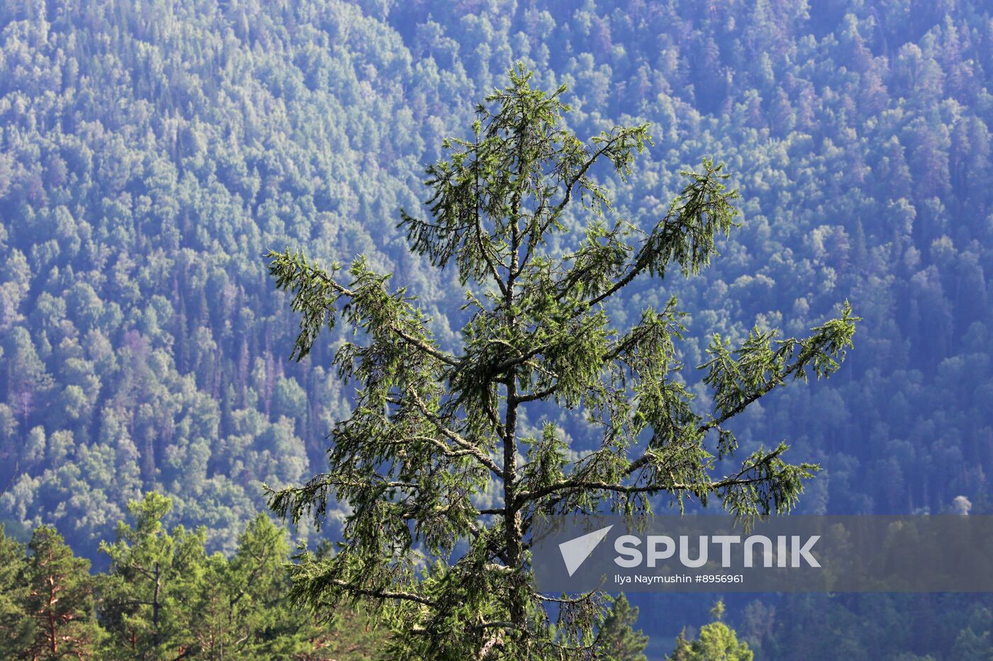 Russia Environment