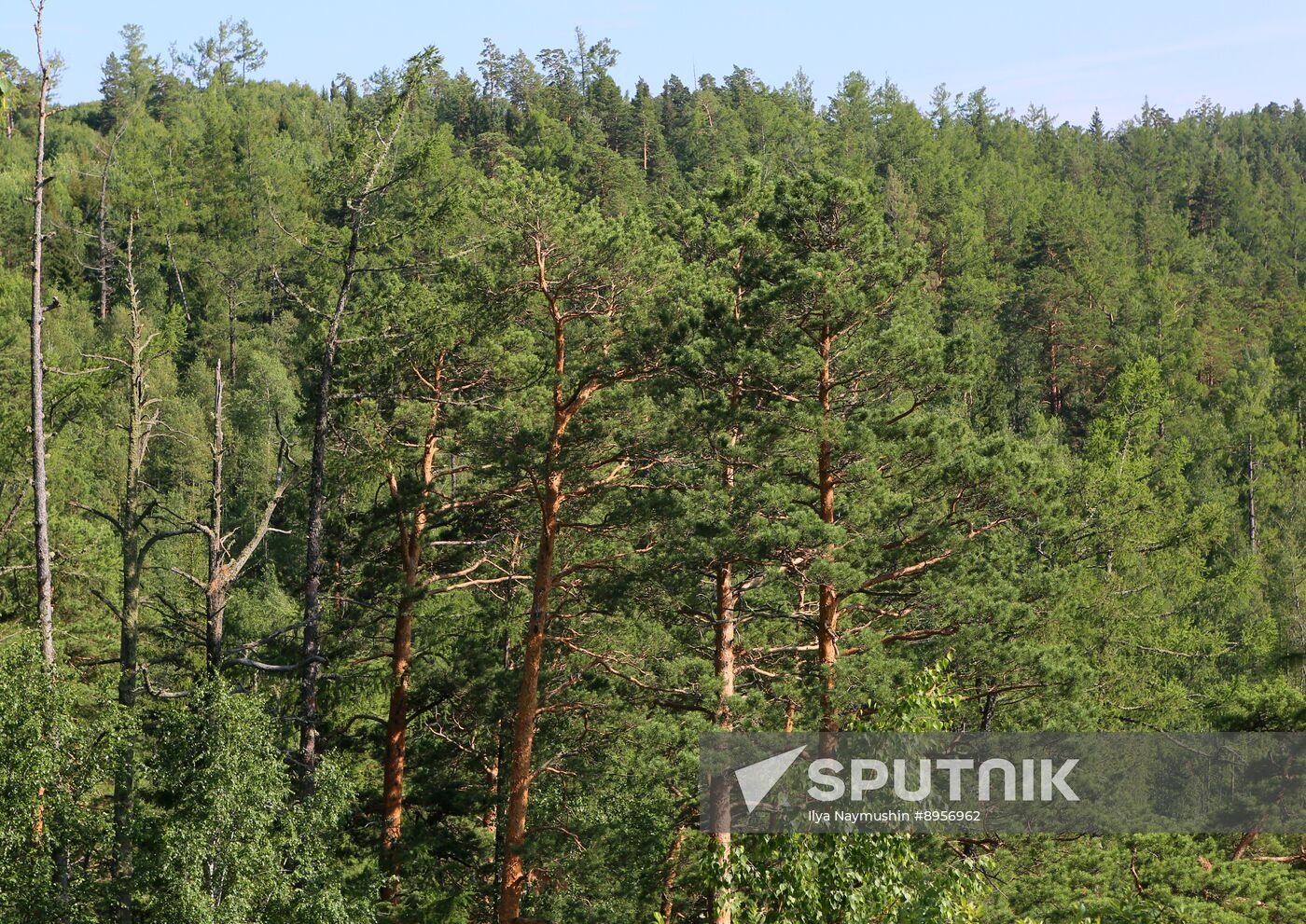 Russia Environment