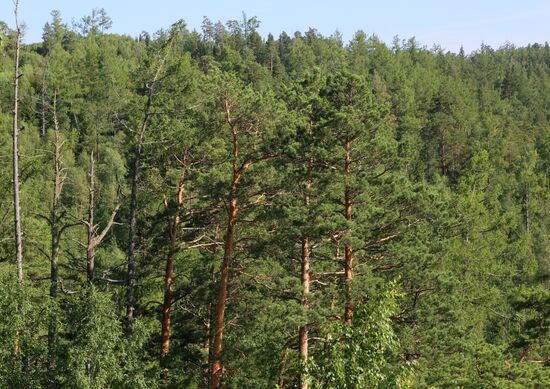 Russia Environment