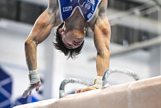 Russia Artistic Gymnastics Strongest Athletes Cup