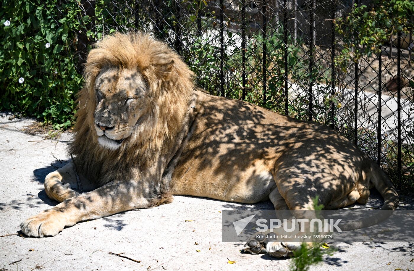 Russia Zoo