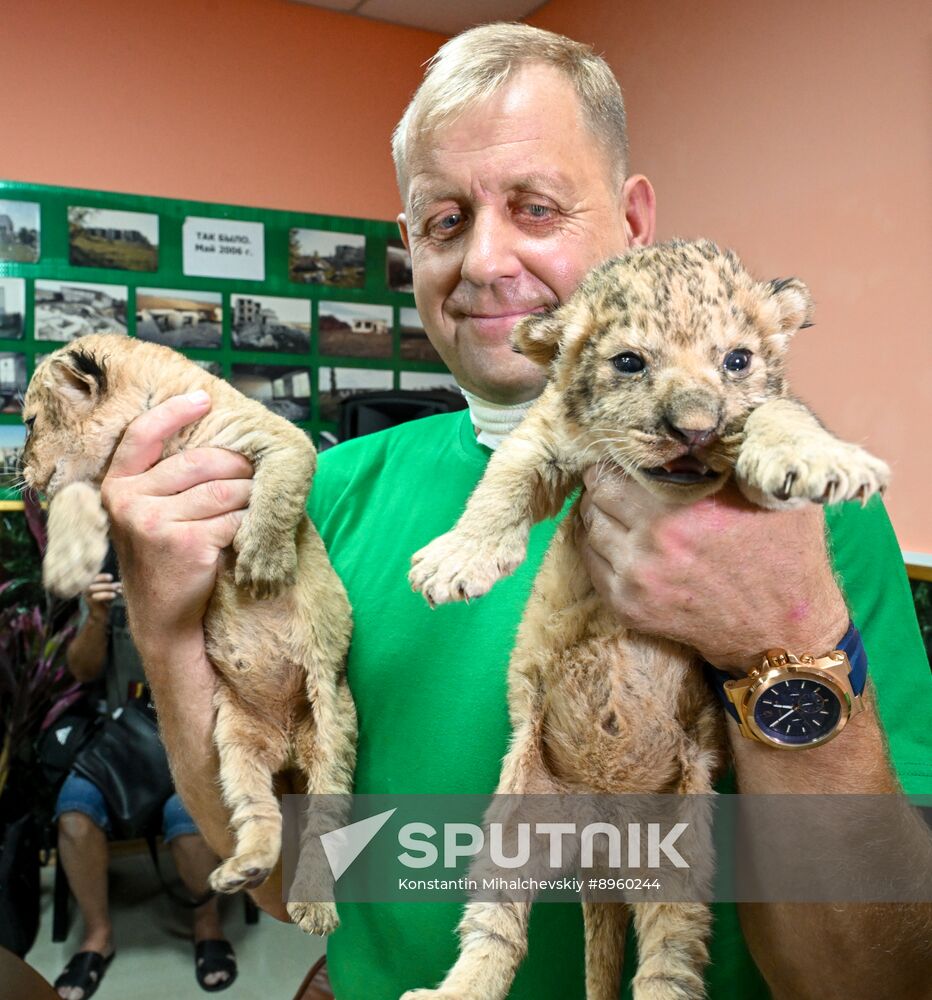 Russia Zoo