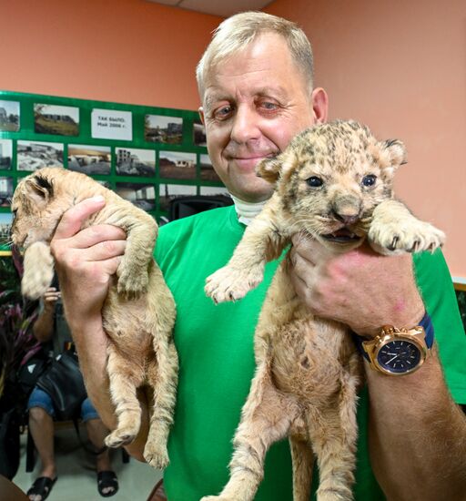 Russia Zoo