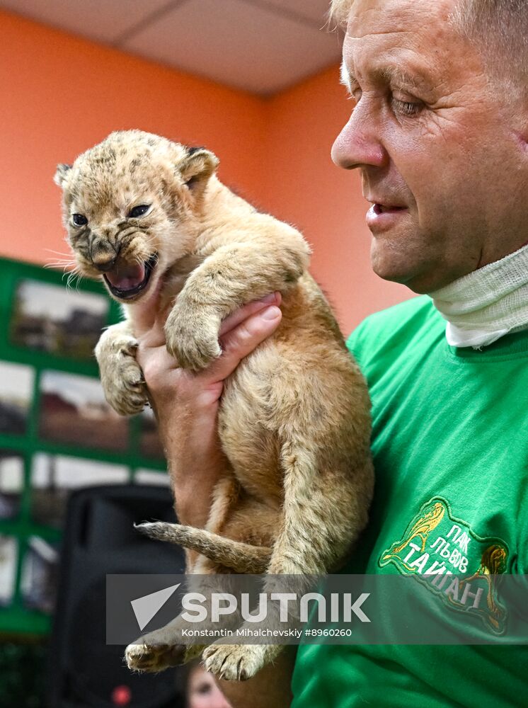 Russia Zoo