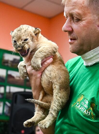 Russia Zoo