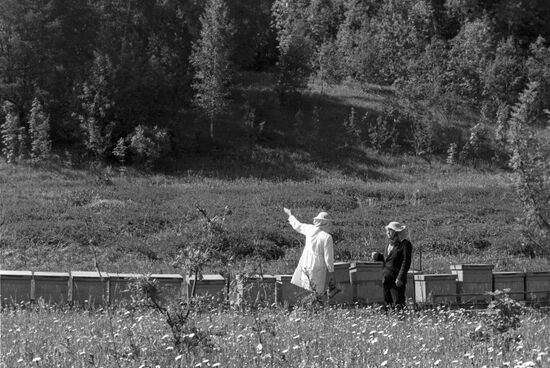 Semyonov New Life collective farm, Shchyokinsky District, Tula Region