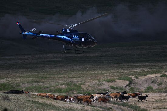 Mongolia Russia Silk Way Rally