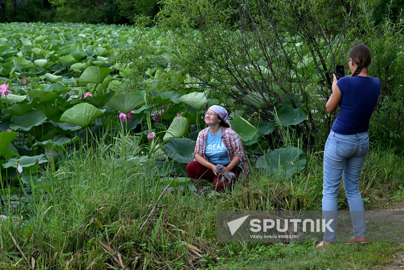 Russia Environment Lotus Blooming