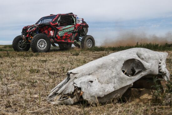 Mongolia Silk Way Rally