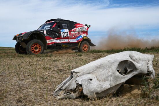 Mongolia Silk Way Rally