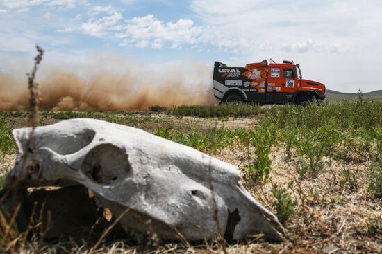 Mongolia Silk Way Rally